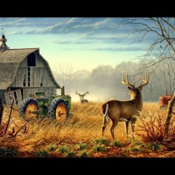 Nature-13