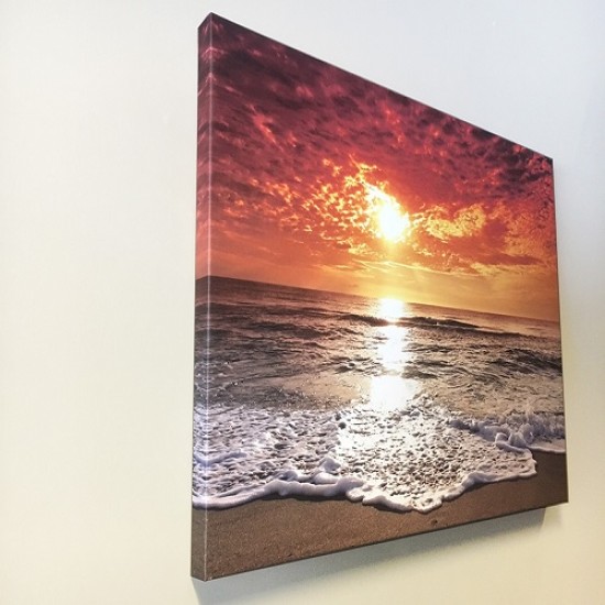 Canvas Prints
