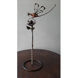 RAL ARROGANTE-(Dragonfly)