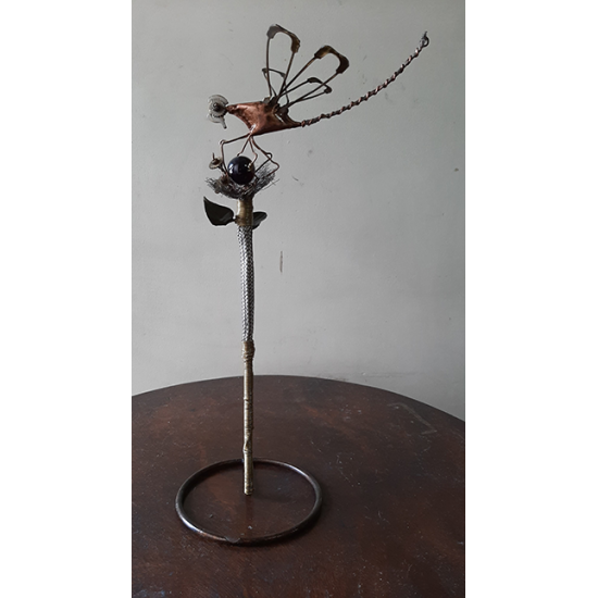 RAL ARROGANTE-(Dragonfly)