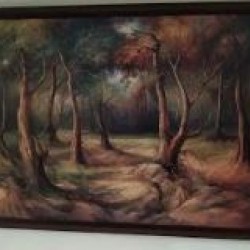 Nature-30