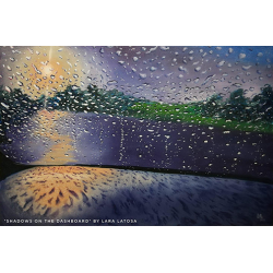LARA LATOSA-(Shadows on the Dashboard)